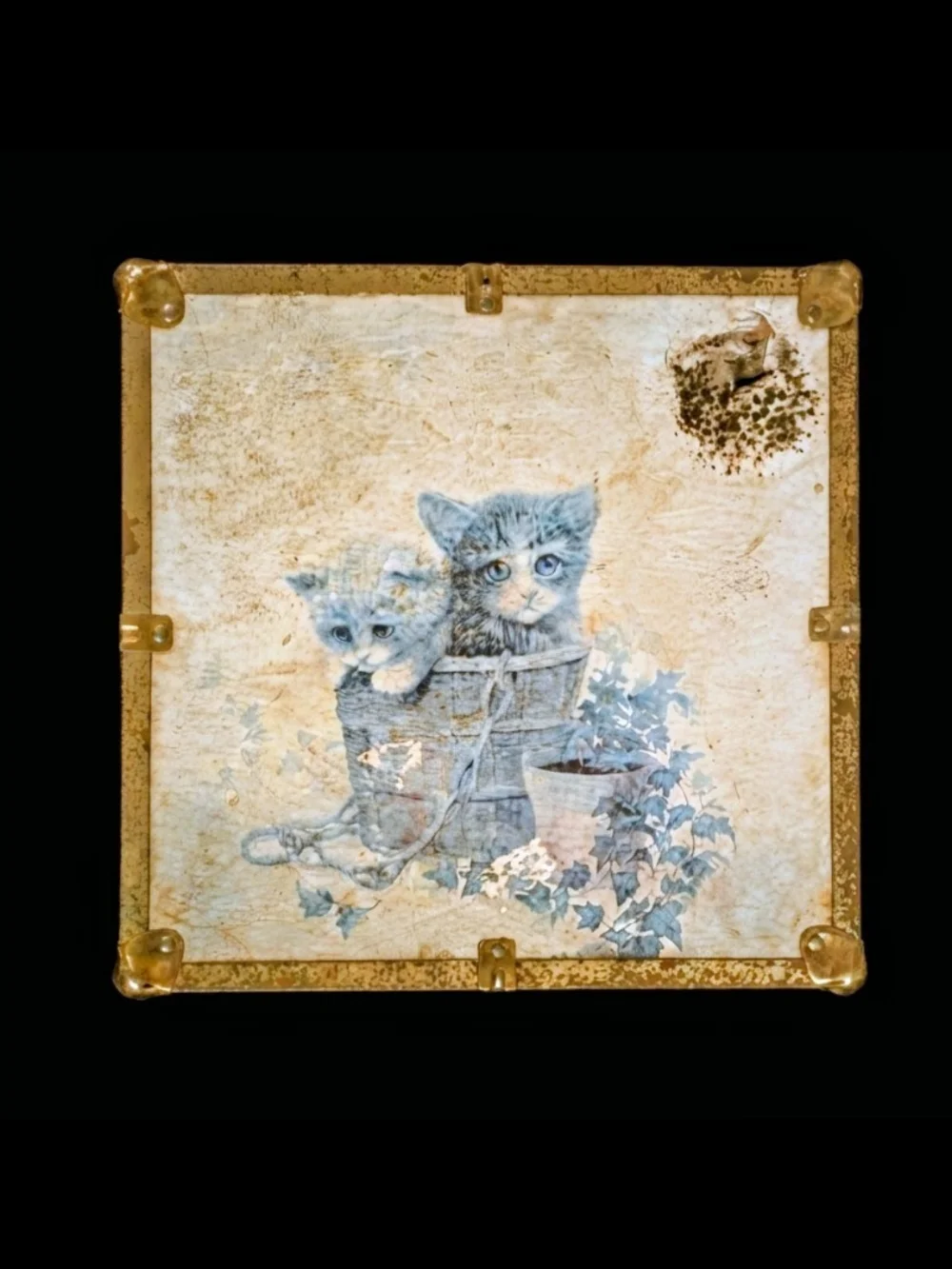 Vintage Ruane Manning Kitten Decorative Storage Box / Toy Chest